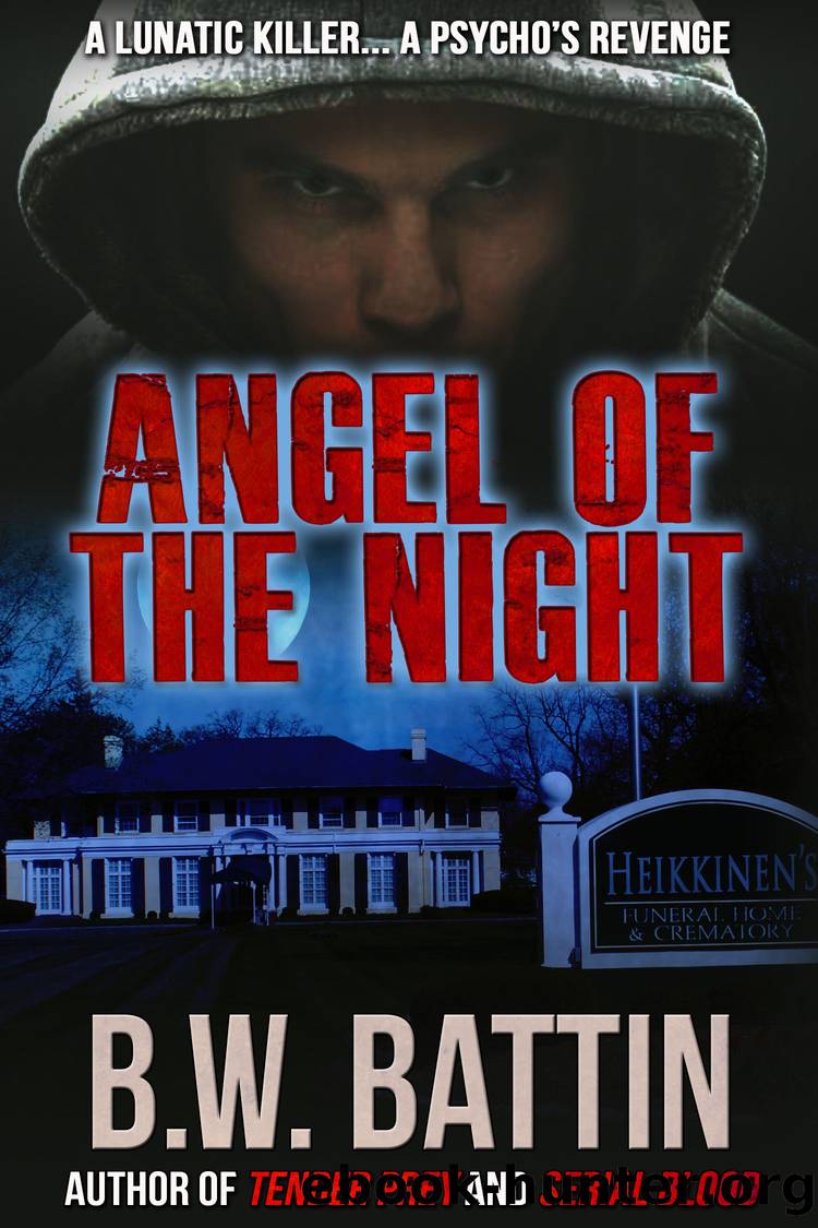 Angel of the Night by B. W. Battin