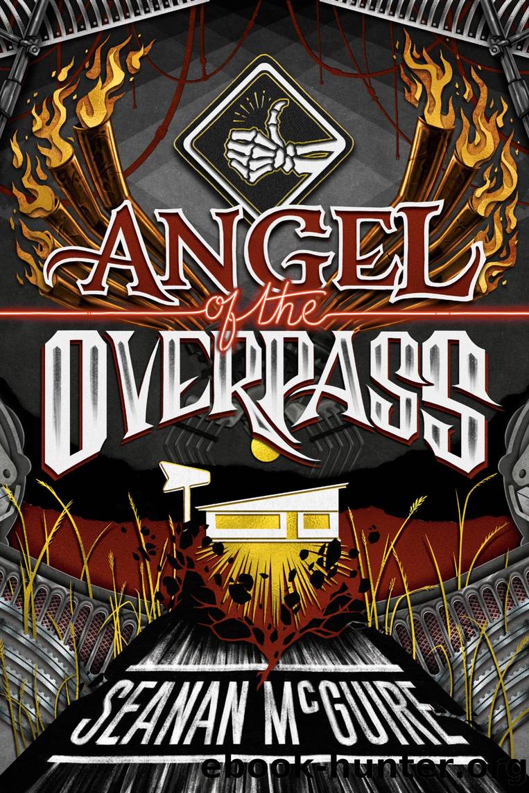 Angel of the Overpass by Seanan McGuire