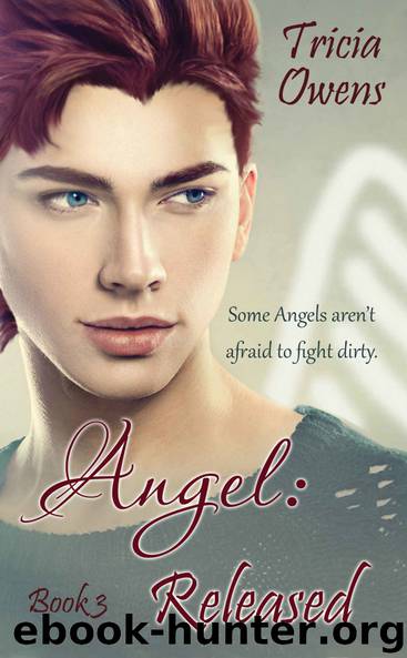 Angel: Released (A:R Earth 3) by Tricia Owens
