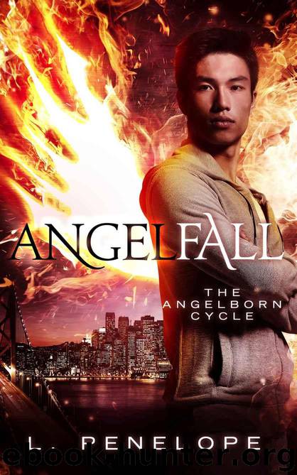 Angelfall (The Angelborn Cycle Book 2) by Penelope L
