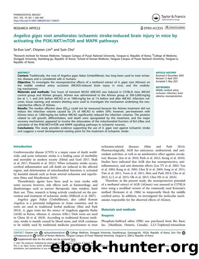 Angelica gigas root ameliorates ischaemic stroke-induced brain injury in mice by activating the PI3KAKTmTOR and MAPK pathways by Lee Se-Eun & Lim Chiyeon & Cho Suin