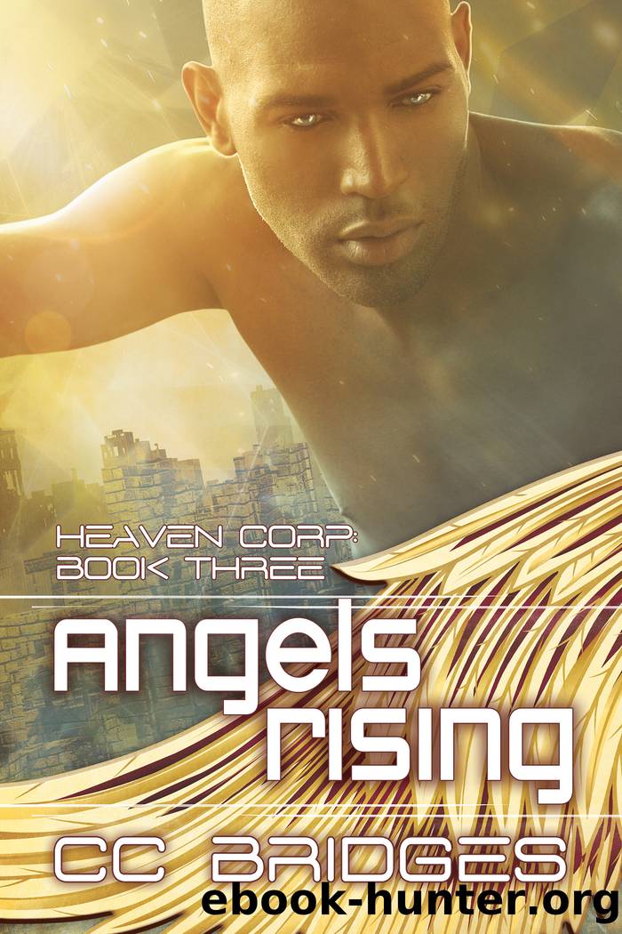 Angels Rising by CC Bridges