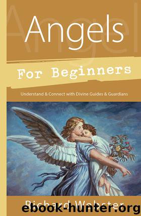 Angels for Beginners: Understand & Connect with Divine Guides & Guardians by Richard Webster