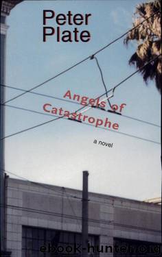 Angels of Catastrophe: A Novel by Peter Plate