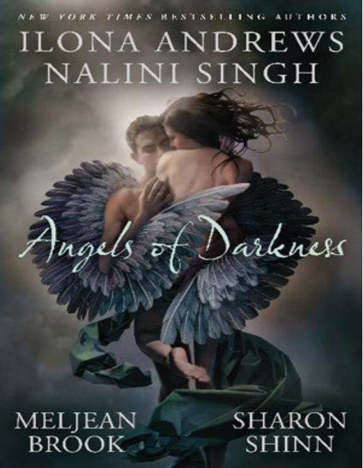 Angels of Darkness by Ilona Andrews