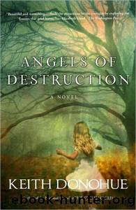 Angels of Destruction: A Novel by Keith Donohue