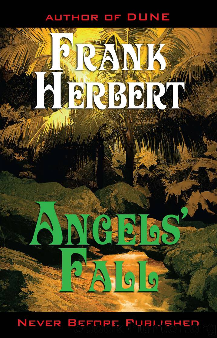Angels' Fall by Frank Herbert