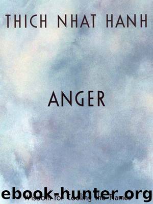 Anger by Thich Nhat Hanh