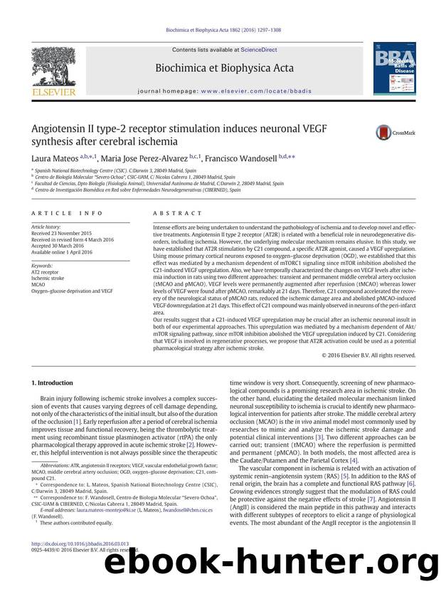 Angiotensin II type-2 receptor stimulation induces neuronal VEGF synthesis after cerebral ischemia by Laura Mateos & Maria Jose Perez-Alvarez & Francisco Wandosell