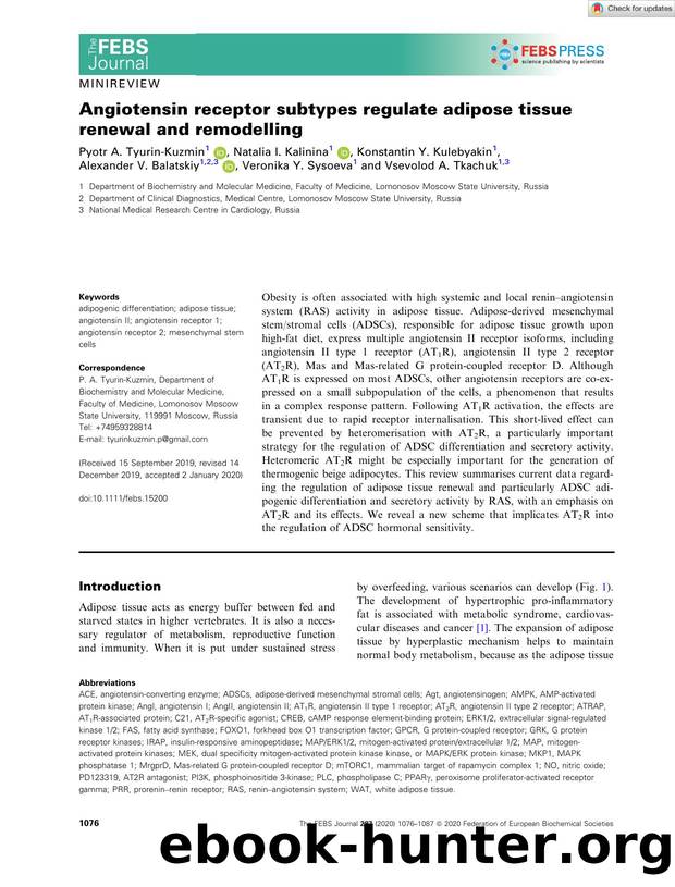 Angiotensin receptor subtypes regulate adipose tissue renewal and remodelling by Unknown
