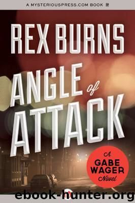 Angle of Attack by Rex Burns