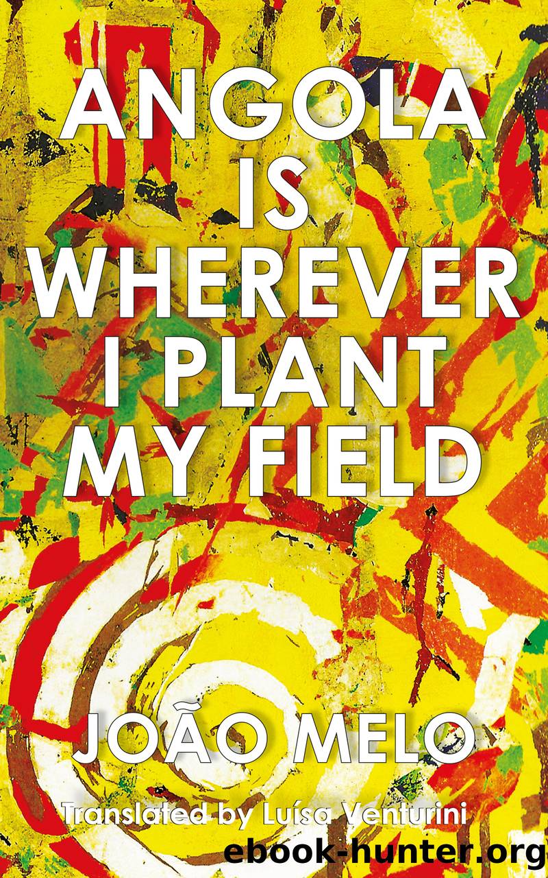 Angola is Wherever I Plant My Field by João Melo