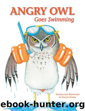 Angry Owl Goes Swimming by Kerryn Ponter