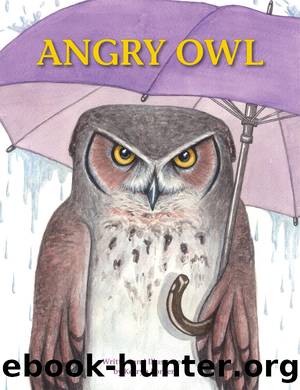 Angry Owl by Kerryn Ponter