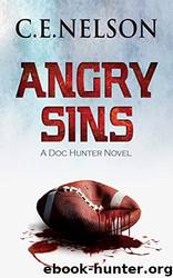 Angry sins by C.E. Nelson