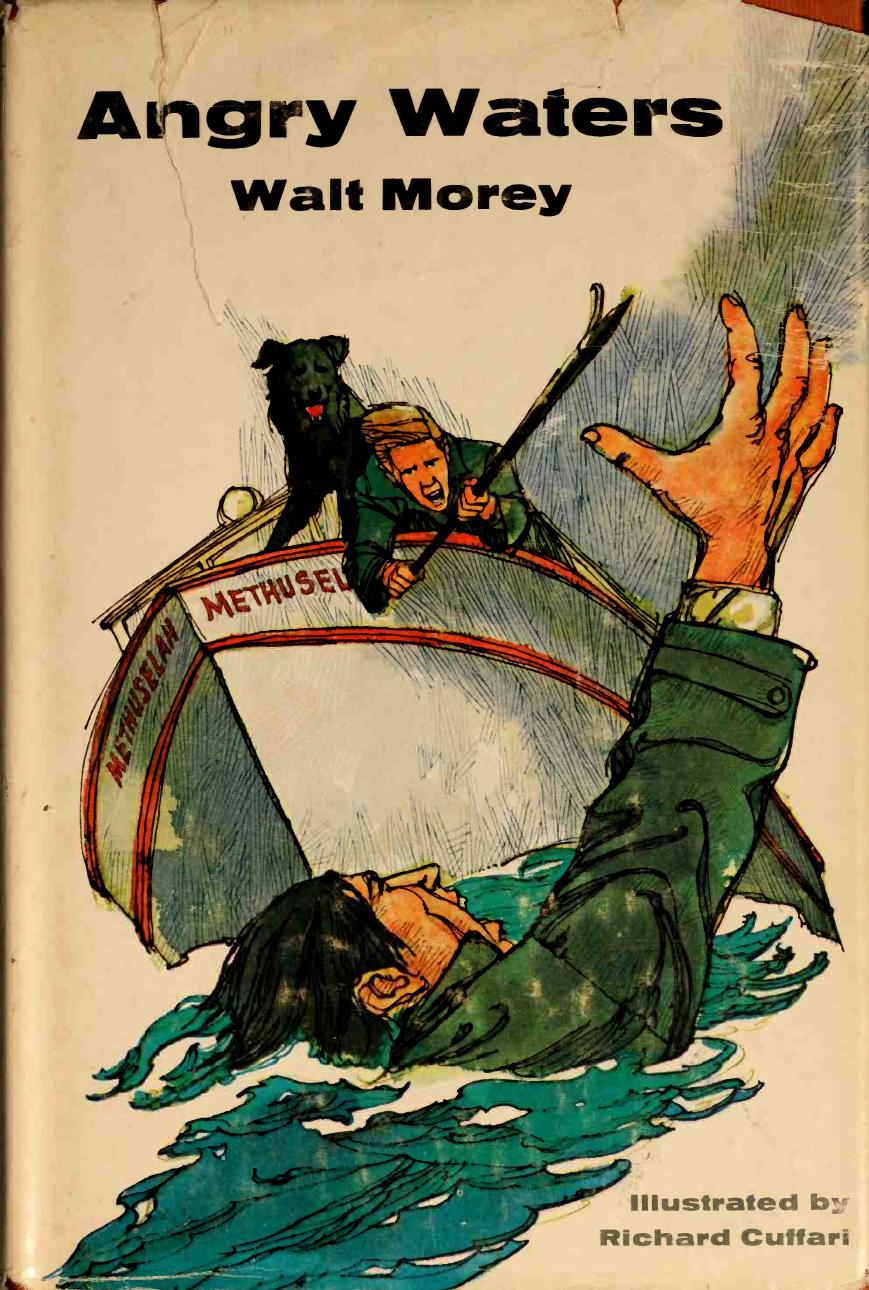 Angry waters by Morey Walt