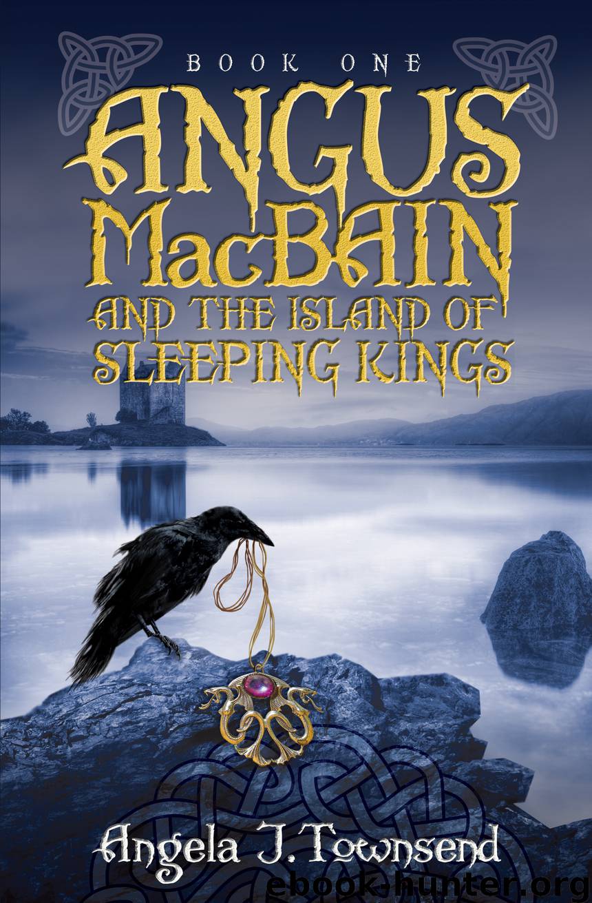 Angus MacBain and the Island of Sleeping Kings by Angela J. Townsend