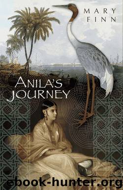 Anila's Journey by Mary Finn