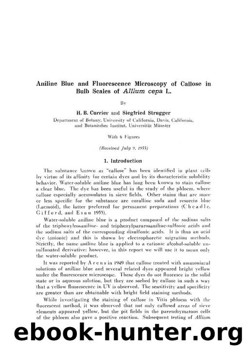 Aniline blue and fluorescence microscopy of callose in bulb scales of <Emphasis Type="Italic">Allium cepa <Emphasis> L by Unknown