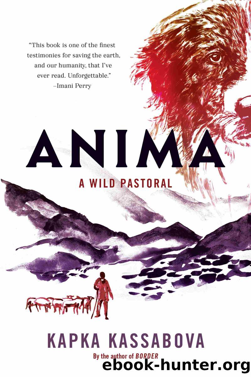 Anima by Kapka Kassabova
