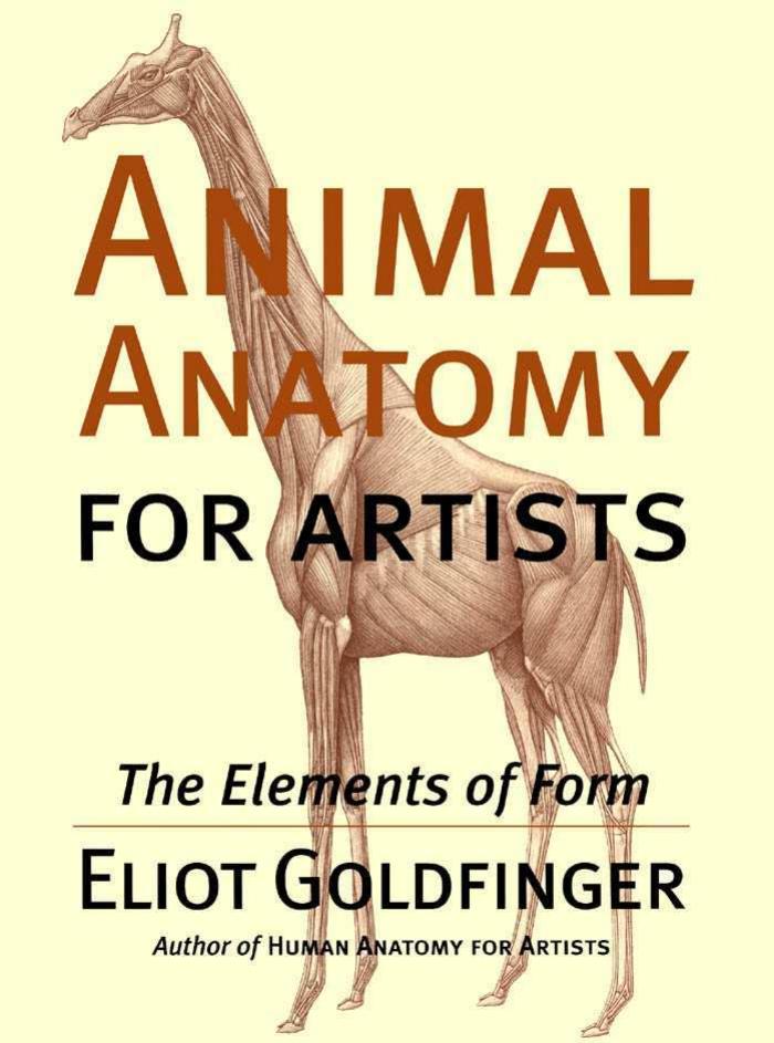 Animal Anatomy for Artists by Eliot Goldfinger