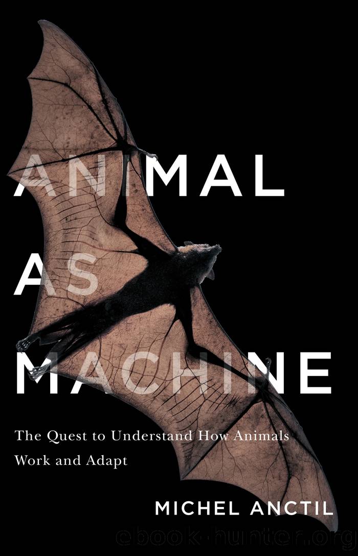 Animal As Machine by Anctil Michel;
