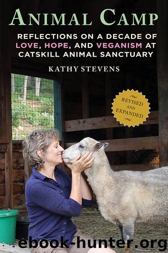 Animal Camp by Kathy Stevens