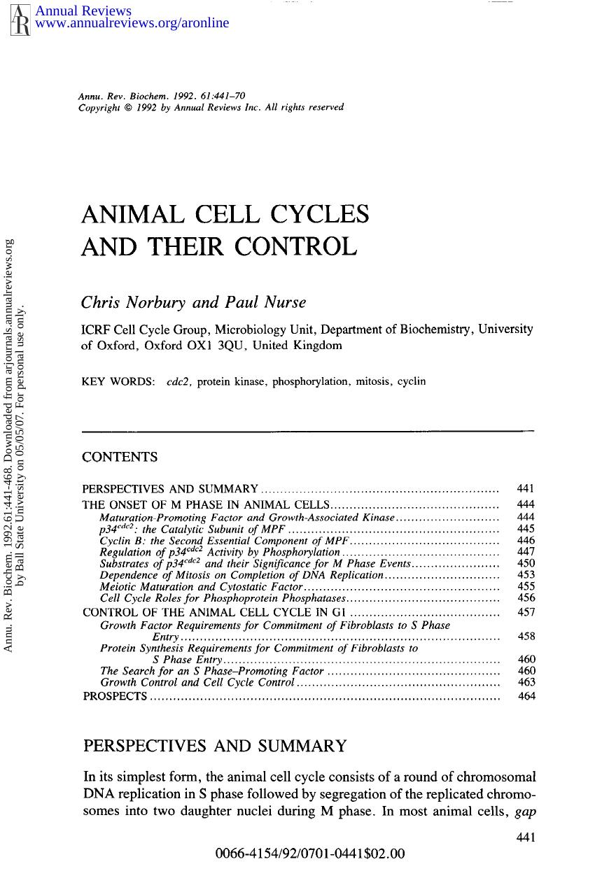 Animal Cell Cycles and Their Control by C Norbury & P Nurse