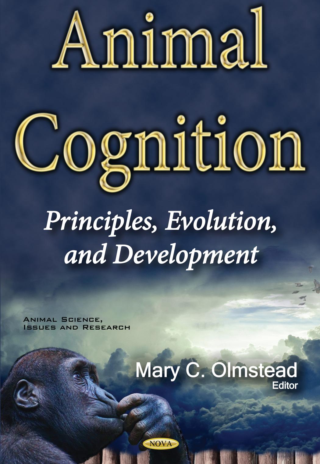 Animal Cognition : Principles, Evolution, and Development by Mary C. Olmstead