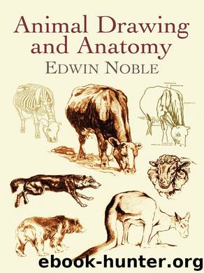 Animal Drawing and Anatomy (Dover Art Instruction) by Noble Edwin