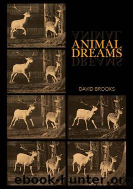 Animal Dreams by Brooks David;