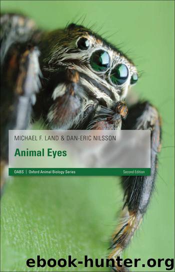 Animal Eyes by Michael F. Land