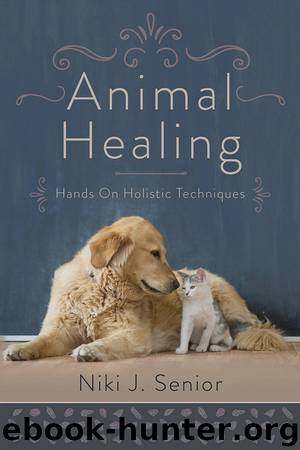 Animal Healing by Niki J. Senior