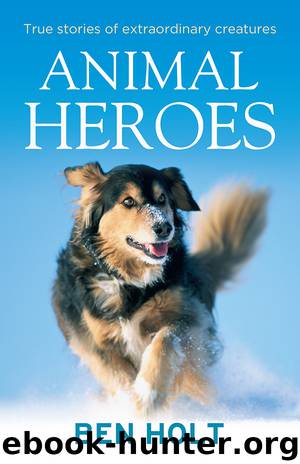 Animal Heroes by Ben Holt