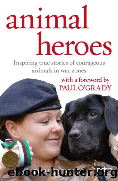 Animal Heroes by David Long