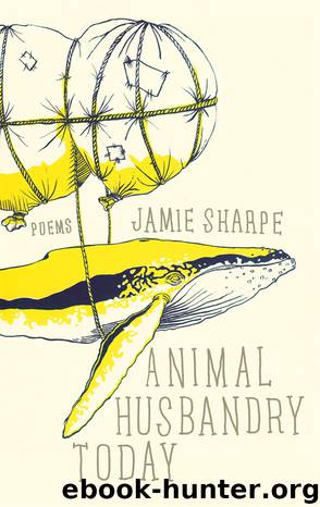 Animal Husbandry Today by Sharpe Jamie