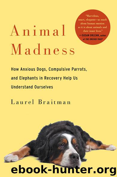 Animal Madness by Laurel Braitman