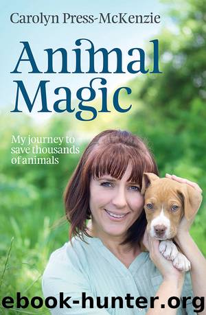 Animal Magic by Carolyn Press-McKenzie