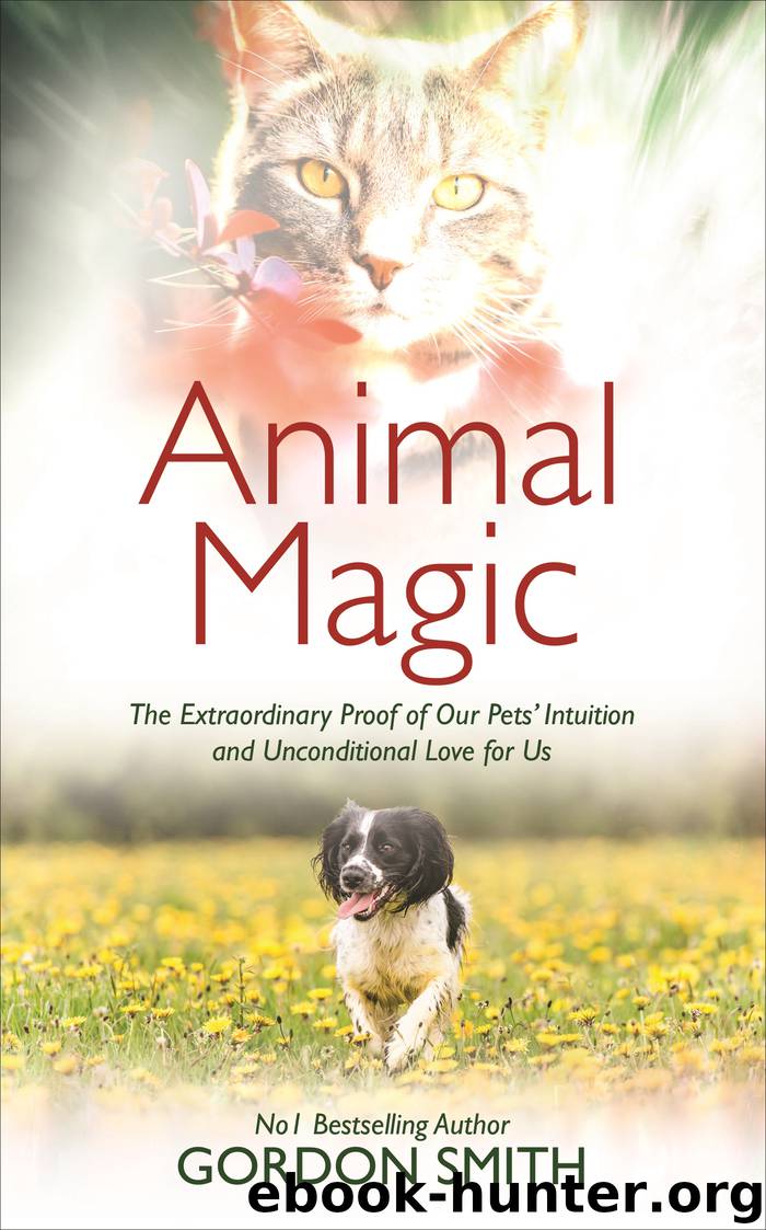 Animal Magic by Gordon Smith