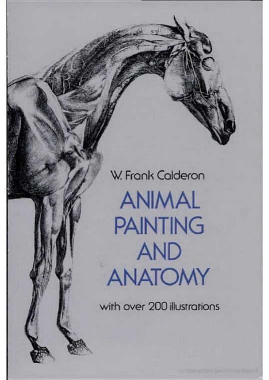 Animal Painting and Anatomy (Dover Anatomy for Artists) by Unknow