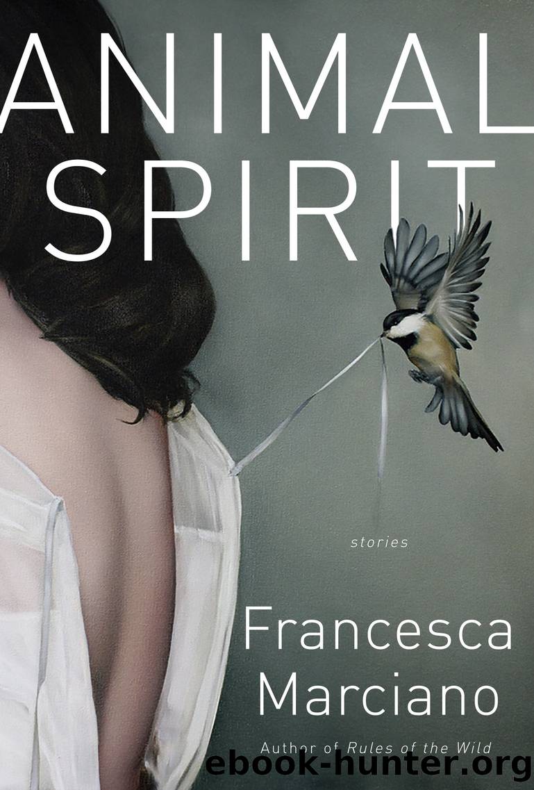 Animal Spirit by Francesca Marciano