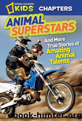 Animal Superstars by Aline Alexander Newman