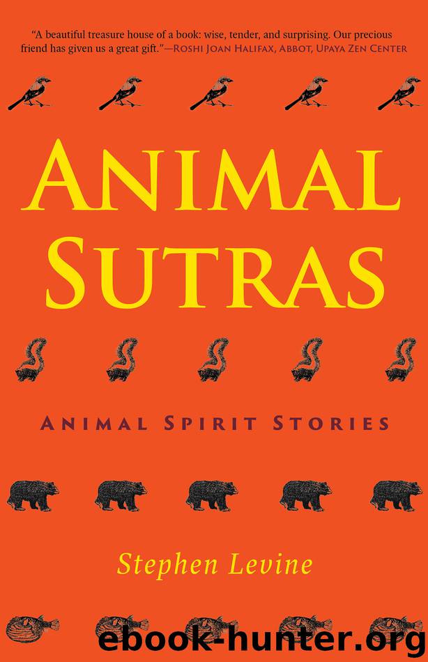 Animal Sutras by Stephen Levine
