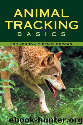 Animal Tracking Basics by Tiffany Morgan