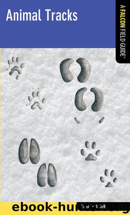 Animal Tracks by Todd Telander