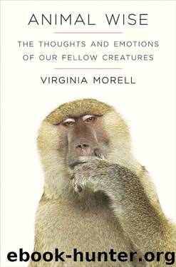 Animal Wise by Virginia Morell