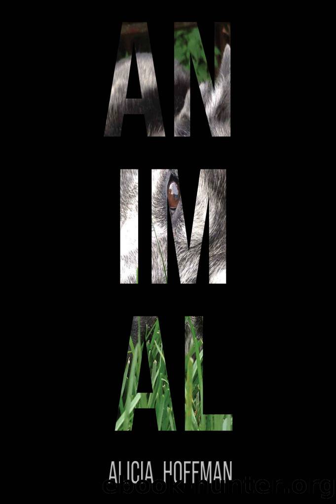 Animal by Alicia Hoffman