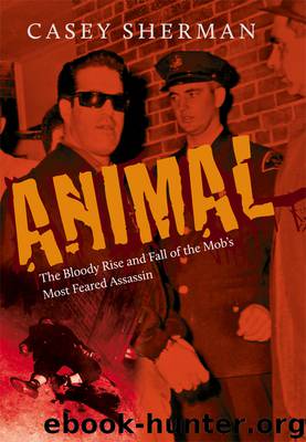 Animal by Casey Sherman