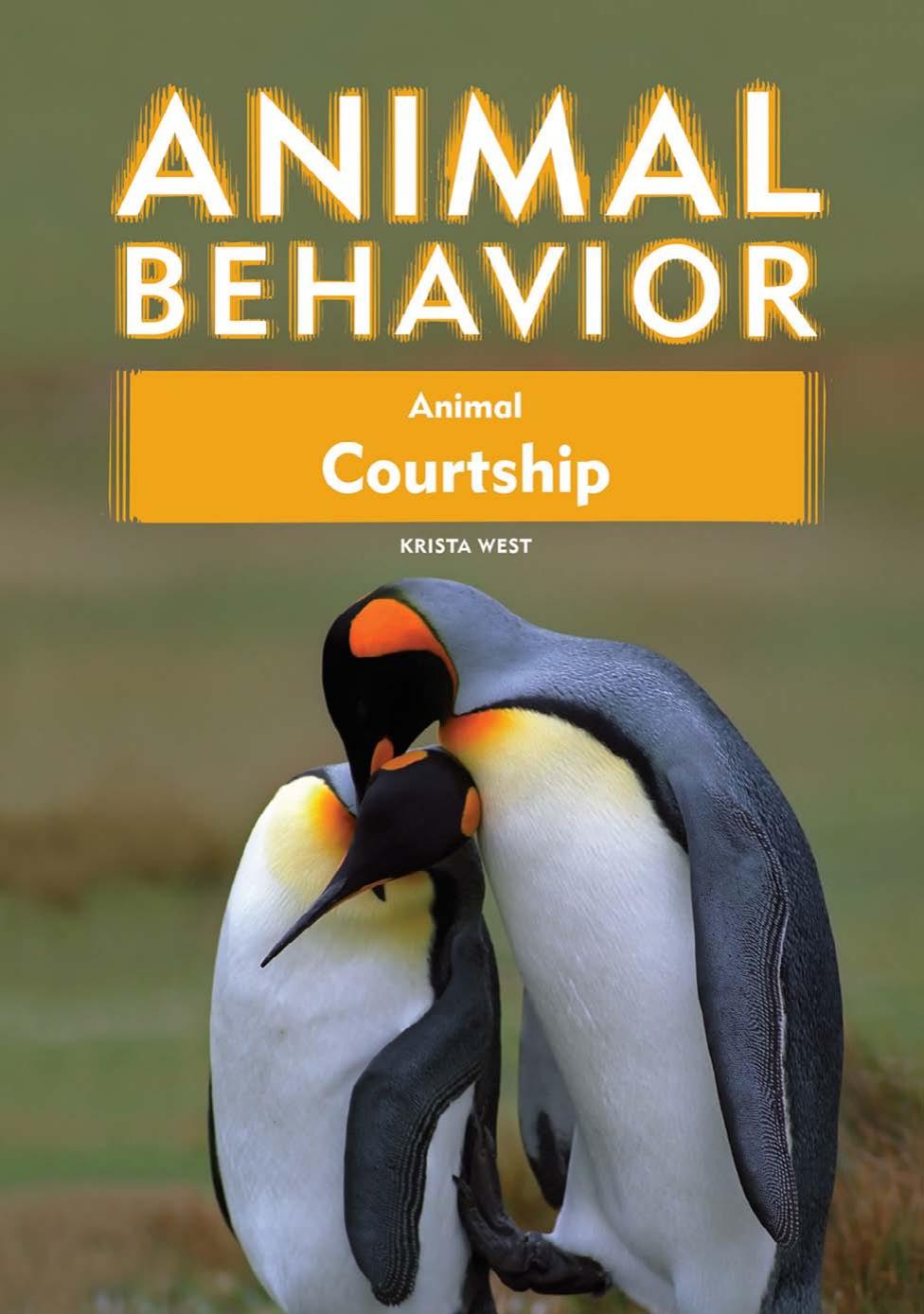 Animal courtship by Krista West