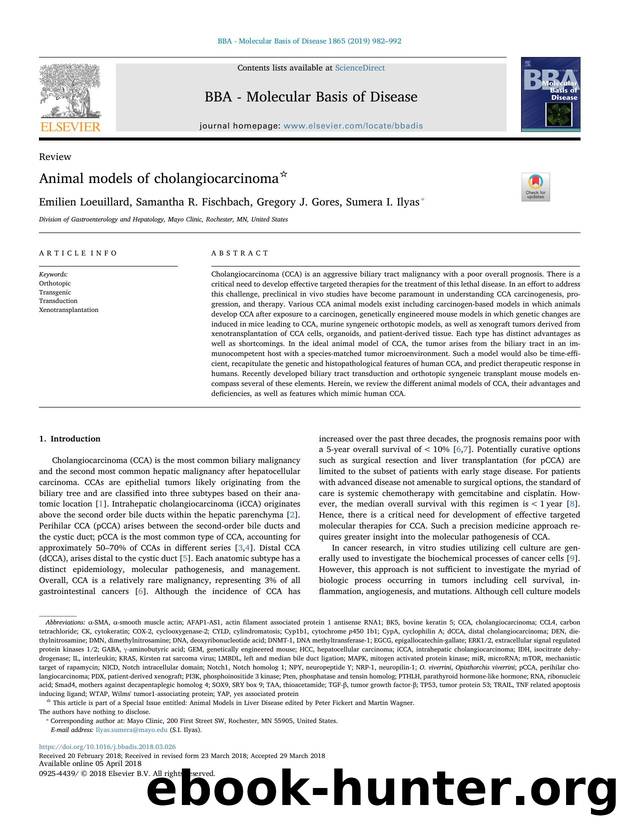 Animal models of cholangiocarcinoma by Emilien Loeuillard & Samantha R. Fischbach & Gregory J. Gores & Sumera Rizvi